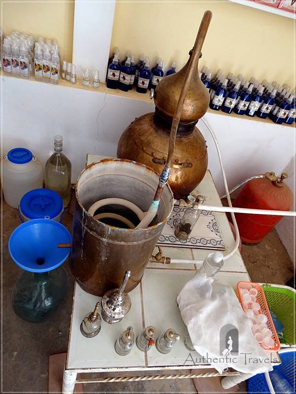 Kelaa M'Gouna: distillation system for producing rose water