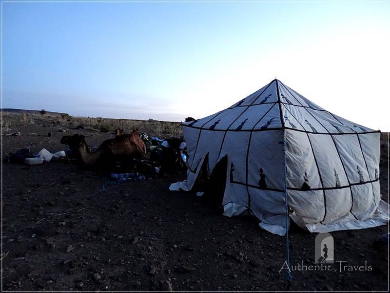 Camel Desert Trek - Day 1: Near the Tighrghrin Oasis - our camp for the first night (the kitchen-tent)
