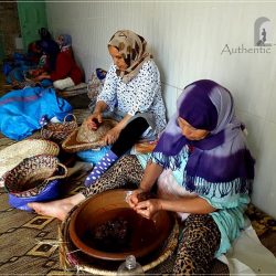 On the way from Marrakesh to Essaouira: the process of extracting argan oil