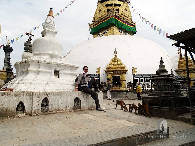 Kathmandu – Swayambhunath Temple: watching the monkeys passing by in a line