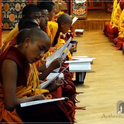 Kopan Monastery: a puja ceremony