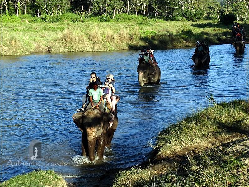 Chitwan - Sauraha: Elephant Ride through the Baghmara Forest - crossing the river (with crocodiles) while riding the elephants.