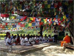 Lumbini: Maha Devi Temple - pilgrims listening to the lama