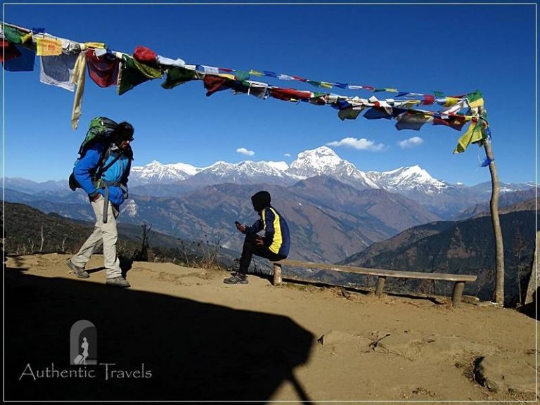 Ghorepani Trek: going up from Ghorepani to Deurali Pass (the Dhaulagiri Himalayan Range in the background)