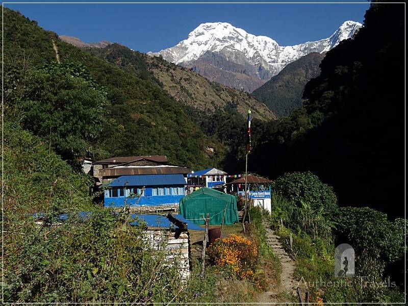 Ghorepani Trek: from Jhinudanda back to Nayapul - always with Annapurna South in the background
