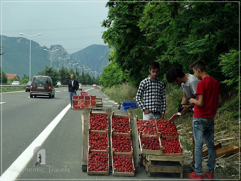 On the way to Mavrovo - buying strawberries on the 'highway'