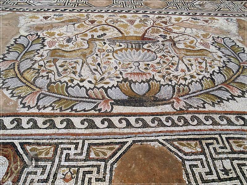 Bitola: Heraclea Lyncestis archaeological site - the Roman mosaics preserved insituu 