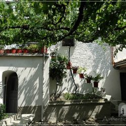 Gjirokastra - the greenery courtyard with vines of the Mele Guesthouse