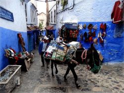 Chefchaouen: the 'Berber car' carrying everything in the medina