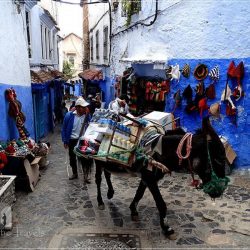 Chefchaouen: the 'Berber car' carrying everything in the medina