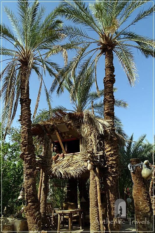 Shamofs Art Camp: the tree house in the garden