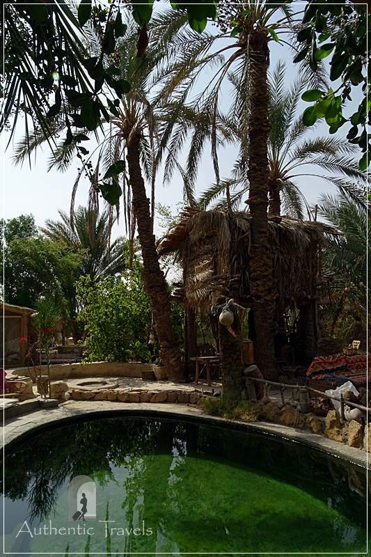Shamofs Art Camp: the treehouse in the garden