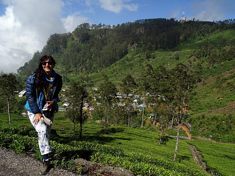 Woman standing on a hillside overlooking tea plantations near Haputale, Sri Lanka.